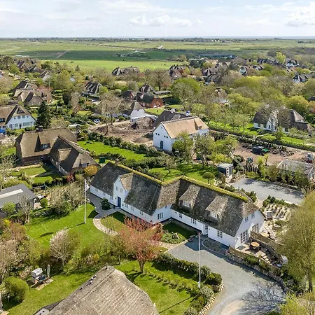 Persimmon Кайтум